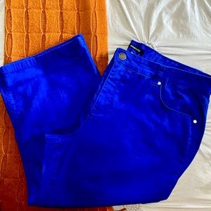 Relativity denim cropped pants